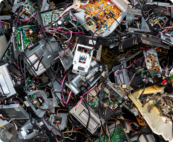 Benefits of Choosing Elima